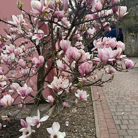 Berizka Yaremche